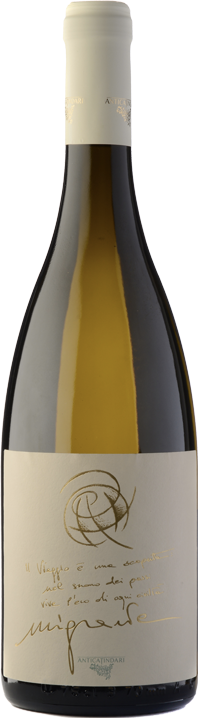 Terre Siciliane Malvasia Migrante 23