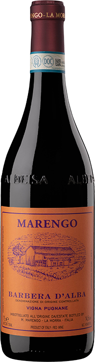 Barbera d'Alba Pugnane 24
