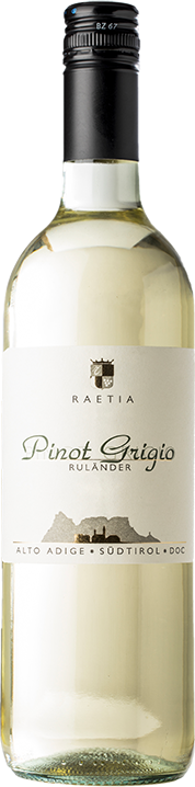 Alto Adige Pinot Grigio Raetia 24 (Screw Cap)